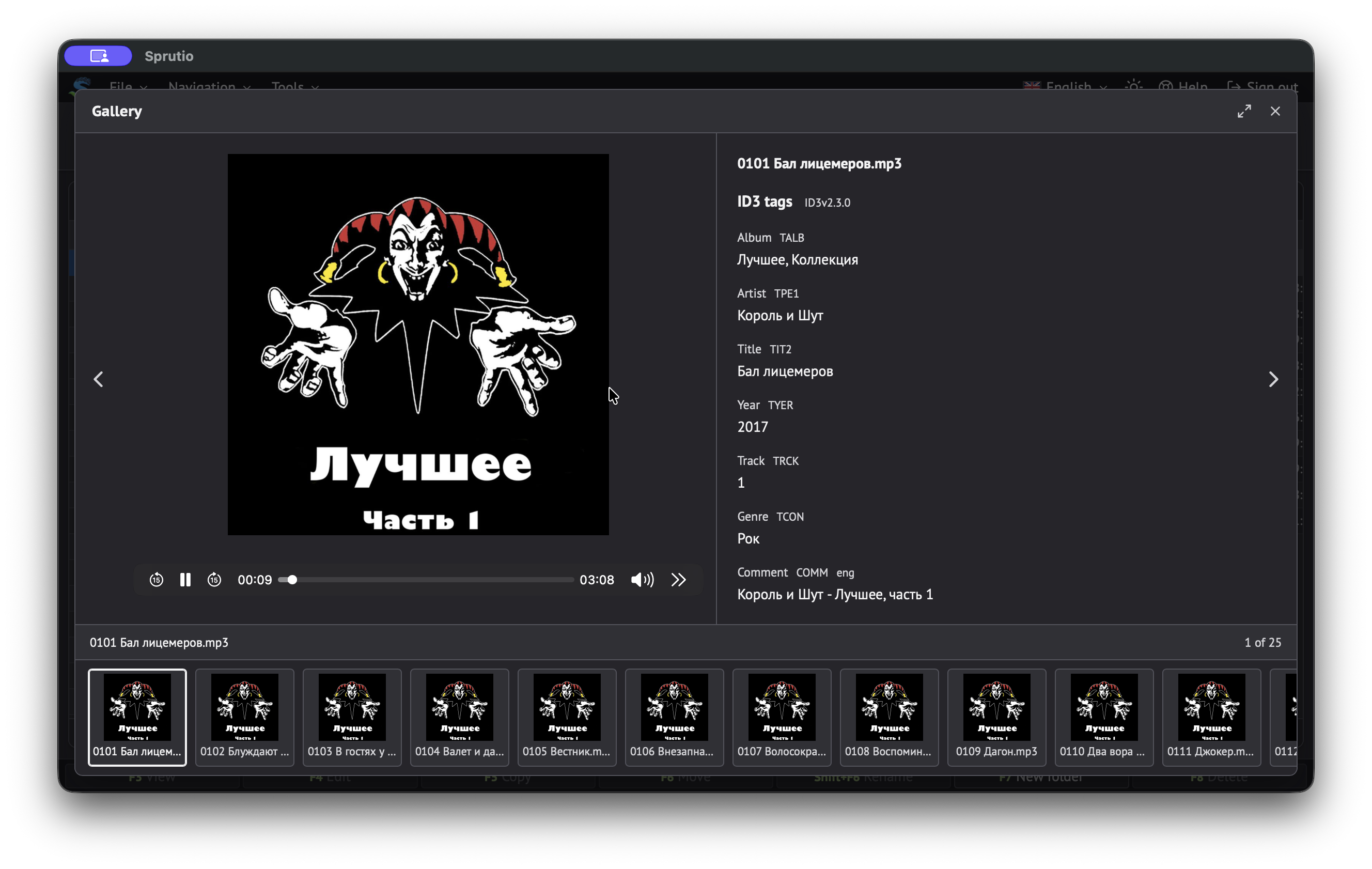 Visor multimedia de Sprutio con reproducción de audio y metadatos de la pista.